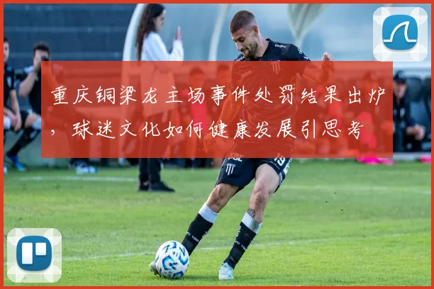 重庆铜梁龙主场事件处罚结果出炉，球迷文化如何健康发展引思考